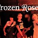 Frozen Roses