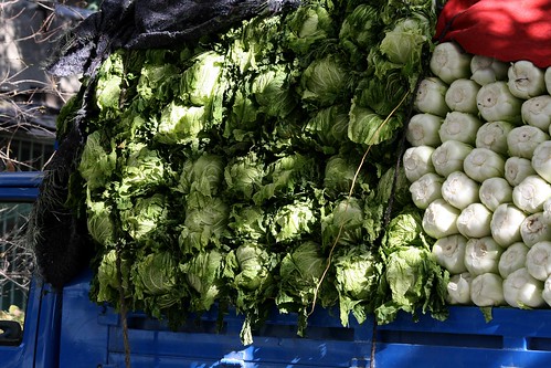 Cabbage (by niklausberger)