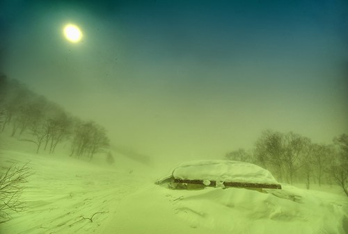 Winter Wasteland by /\ltus.