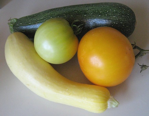 Zucchini and Yellow Tomatoes