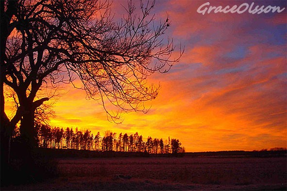 sunset - Yterrela - Vasteras - Sweden