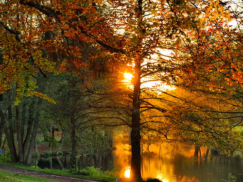 herbstwald mit sonnenuntergang -autumnal sunset by hlh2108.