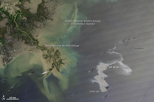 Öl-Katastrophe Golf von Mexiko Nasa Satellitenbild