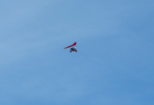 lone paraglider