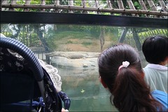 新竹市立動物園25