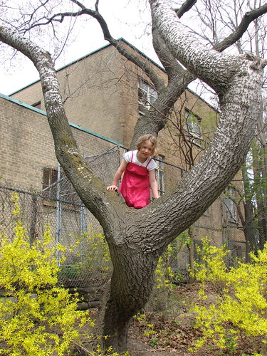 M climbing a tree at the park