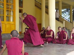 Moines bouddhistes en discussion intense