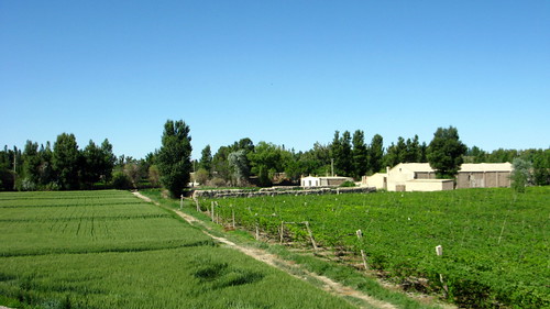 Green at last (approaching Rumen City from the west, Gansu Province, China)
