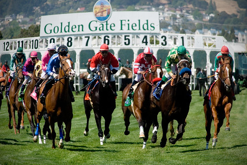 Turf Race at Golden Gate Fields