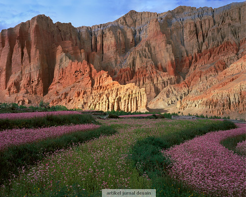 Kenneth Parker Cliffs and Buckwheat Blossoms