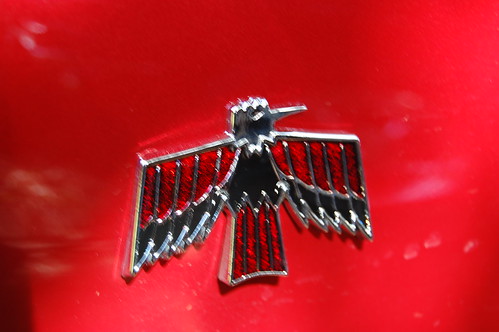 1968 Pontiac Firebird Emblem (by Brain Toad Photography)