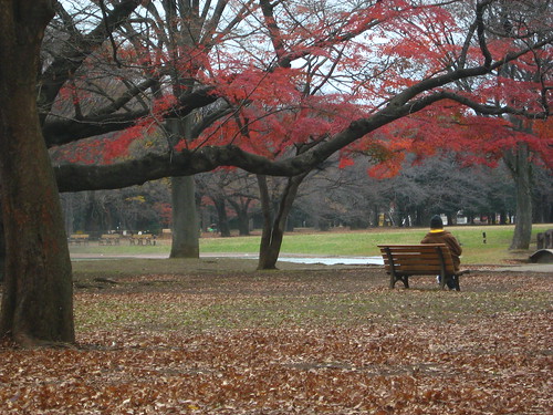 Man beneath the red leaves of Yoyogi Park