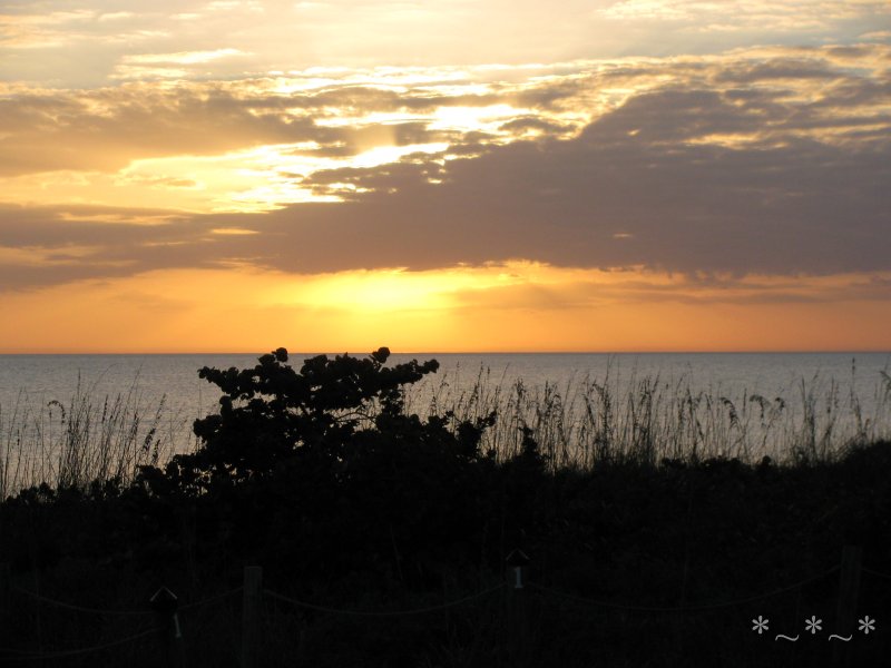IMG_0027-Sanibel-Sunset-Gulf-of-Mexico-dunes