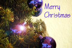 Merry Christmas Blue Tree