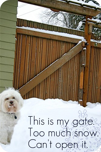 See here? This is the gate.