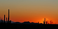 Sunset, 3/9/08, near Apache Junction, Arizona