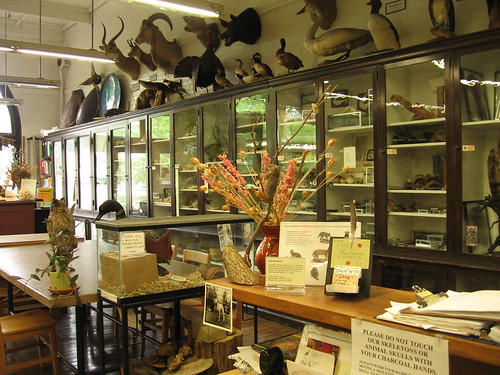 nature lab, front desk
