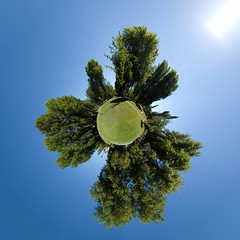Particularly Pretty Polar Panoramic (Planet-ized) Park Picture