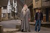 chatarreando con Dumbledore