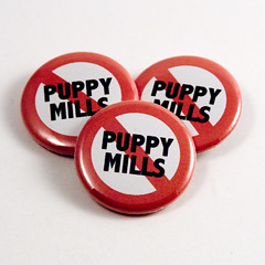No Puppy Mills buttons by jnhkrawczyk