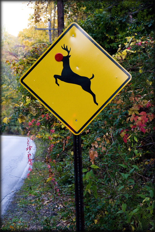 reindeer-sign
