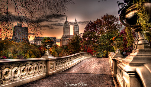 central park ny. Central Park, NY by Tony Shi.