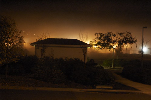 Sligthly creepy night foggy shot
