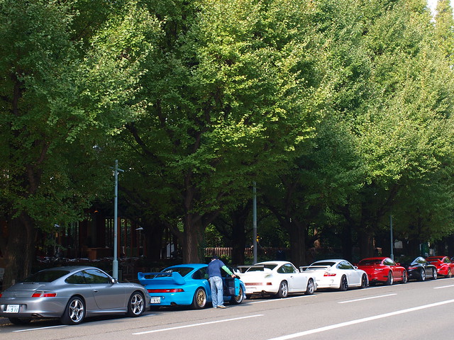 Porsche Owners' Gathering