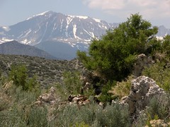 The Sierra Nevada mountains from Mono Lake