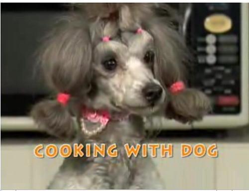 Cooking with dog
