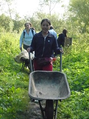 英國保育假期志工正在清除雜草，維護草澤生態。
