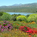 Flower Power of the Cederberg Nature Reserve