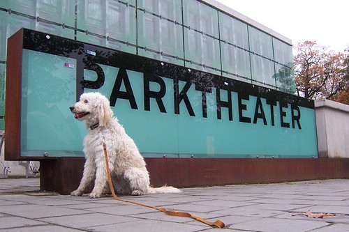 The Bark Theater!