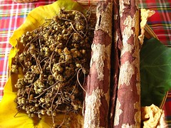 dried fruit and bark of the samak tree