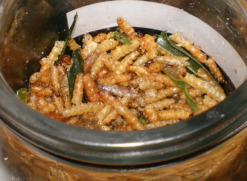 fried silk worms