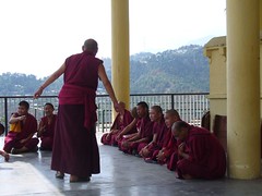 Moines bouddhistes en discussion intense