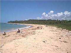 Arraial d´Ajuda, Pitinga Beach, Bahia, Brazil