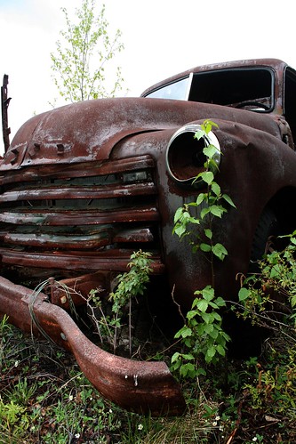 Rusty Truck V naturezoom Tags old plant ontario canada truck vintage rust 