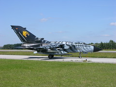 Tiger marked Jabo-32 Tornado ECR by Jerry Gunner, on Flickr