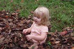Cate in the leaf pile