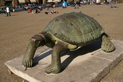廣場上有許多烏龜  或許是烏龜廣場?