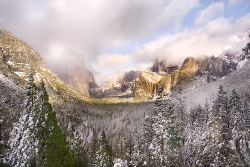 Winter Afternoon in Yosemite