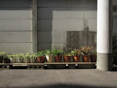 Tokyo Plant Pots 089  東京植木鉢 by tsuyatsuya.