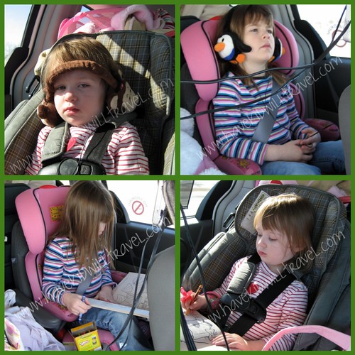 Driving collage