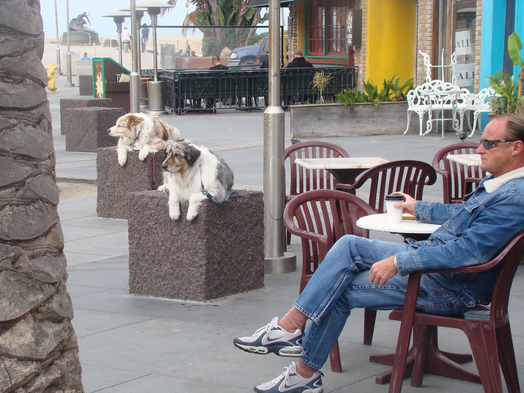 Dogs on Blocks, Hermosa Beach 2