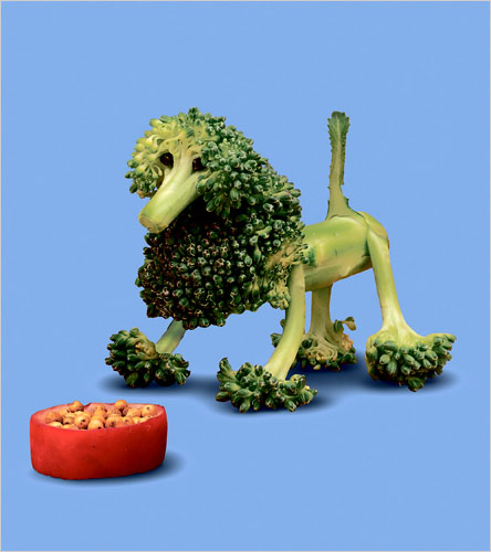 broccoli dog from the new york times