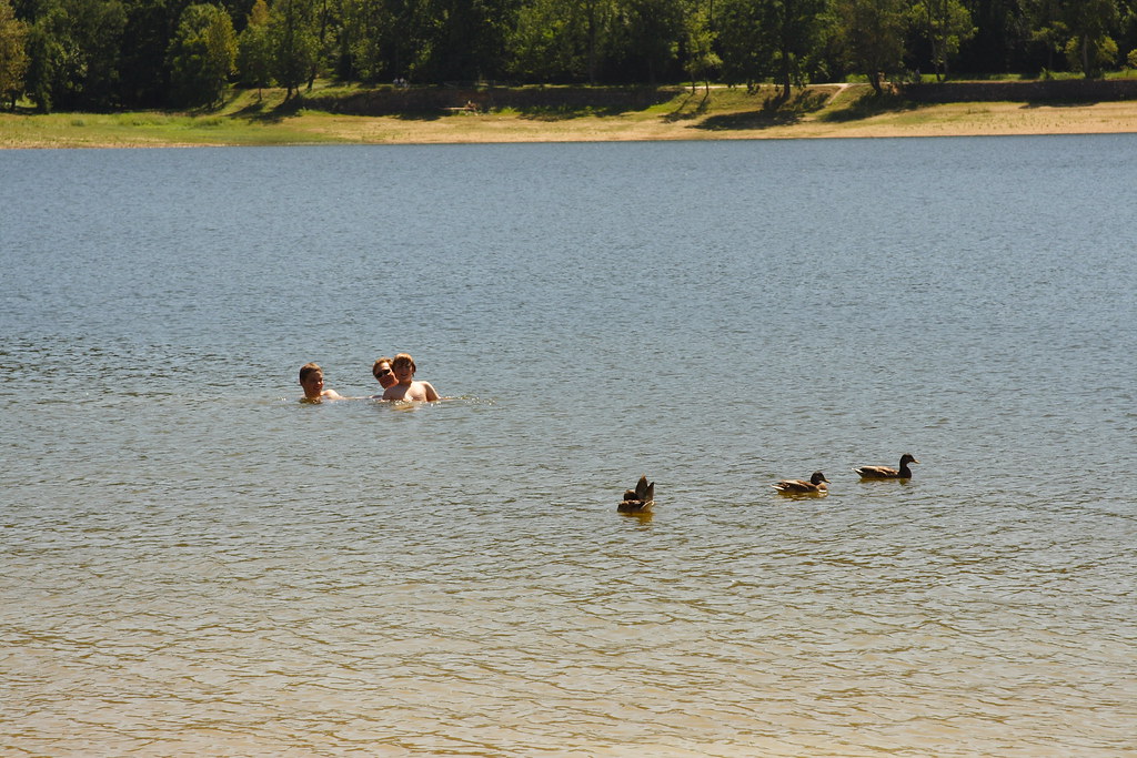 Bassin de St-Ferreol Me and Boys Swimming with the Ducks