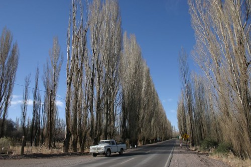 Uspallata, Argentina.
