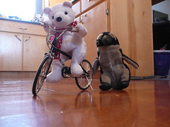Pablito ayudando a nanuk a aprender a andar en bicicleta