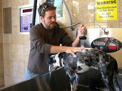 self-serve dog wash